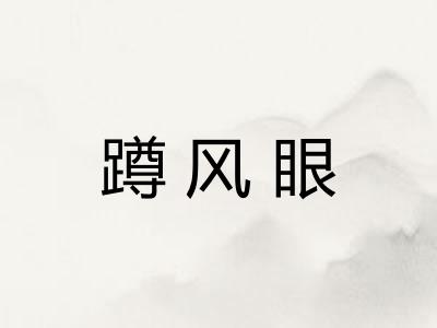 蹲风眼