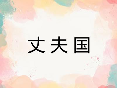 丈夫国