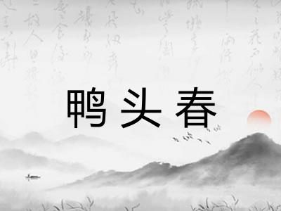 鸭头春