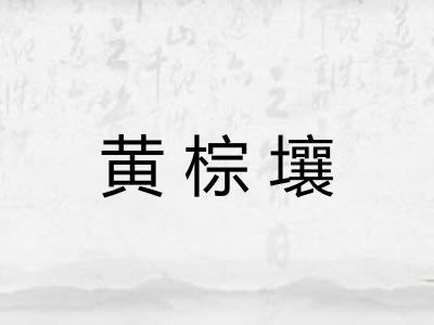黄棕壤