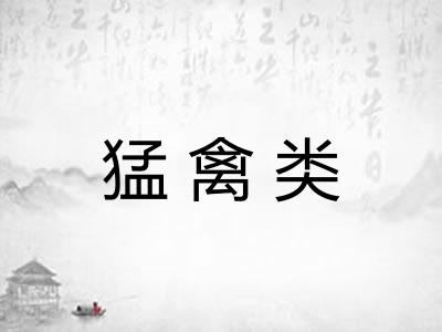 猛禽类