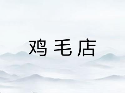 鸡毛店