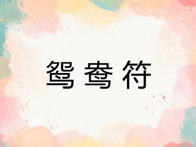 鸳鸯符