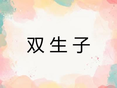 双生子