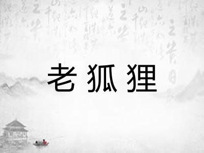 老狐狸