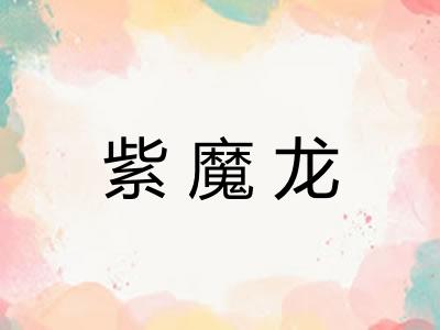 紫魔龙