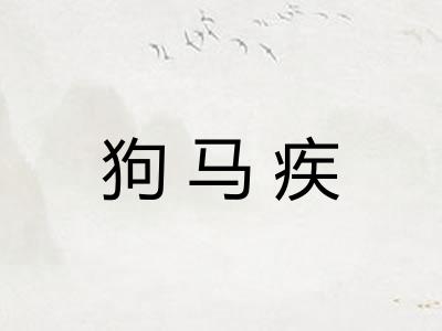 狗马疾 狗马疾