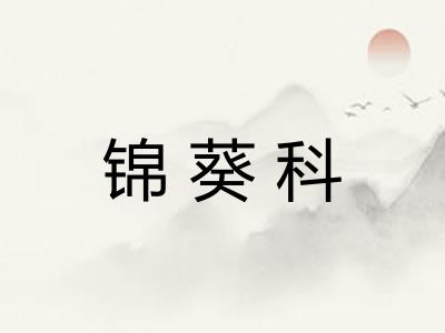 锦葵科