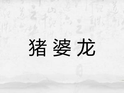 猪婆龙