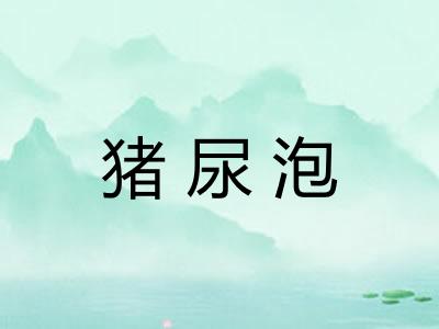猪尿泡