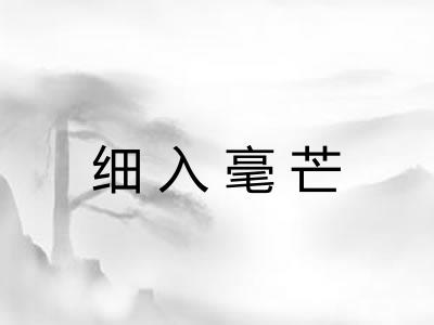 细入毫芒