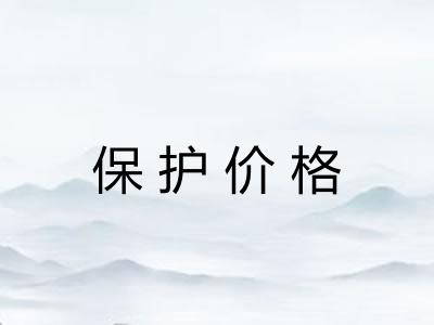 保护价格