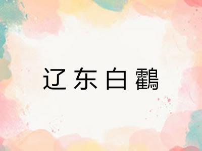 辽东白鸖