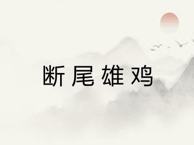 断尾雄鸡 断尾雄鸡