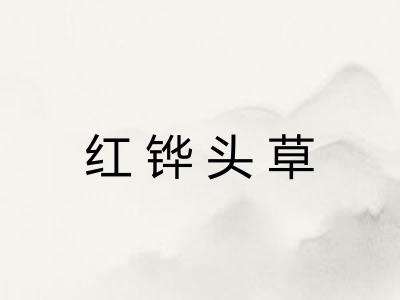 红铧头草