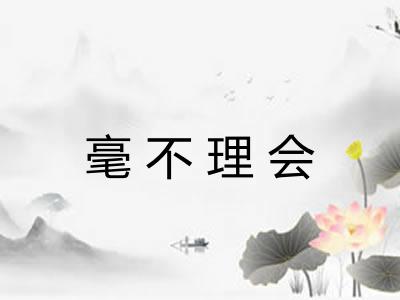 毫不理会