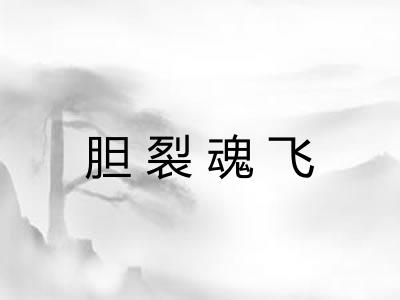 胆裂魂飞