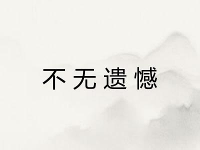 不无遗憾
