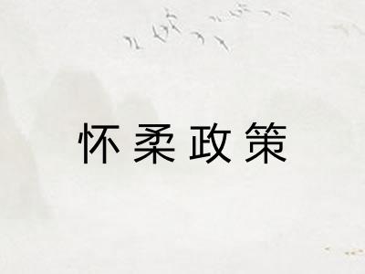 怀柔政策