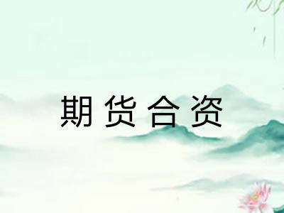 期货合资
