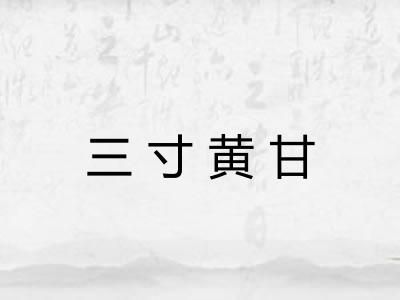 三寸黄甘