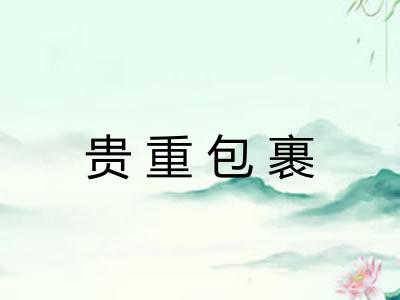 贵重包裹