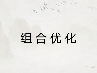 组合优化