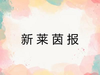 新莱茵报