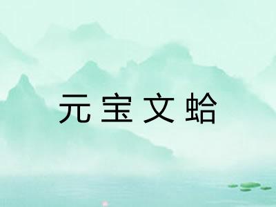元宝文蛤