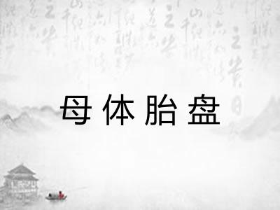 母体胎盘