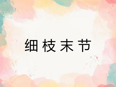 细枝末节