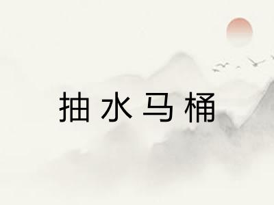 抽水马桶