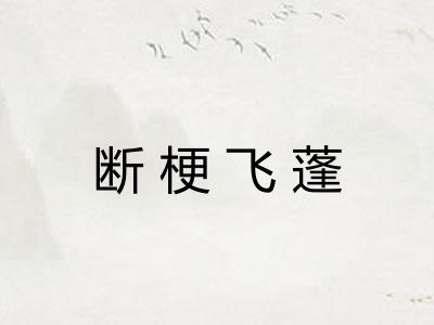 断梗飞蓬