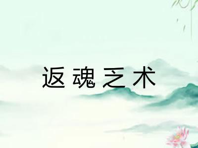 返魂乏术