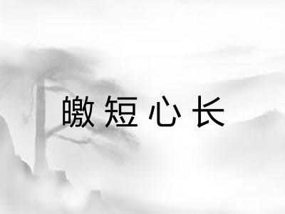 皦短心长