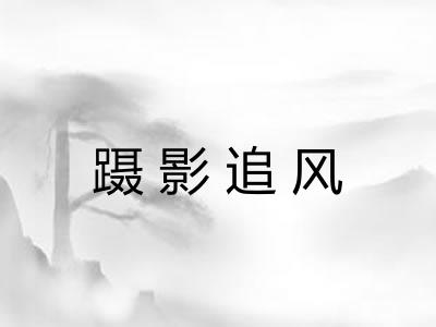 蹑影追风
