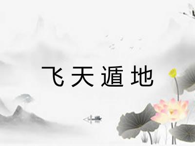 飞天遁地