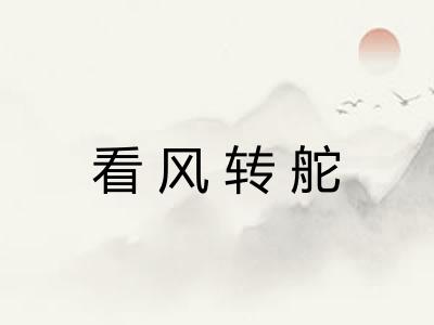 看风转舵