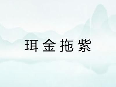 珥金拖紫