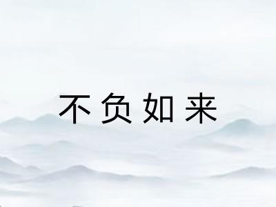 不负如来