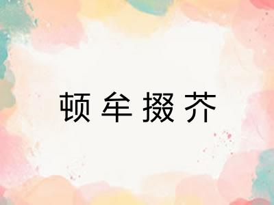 顿牟掇芥