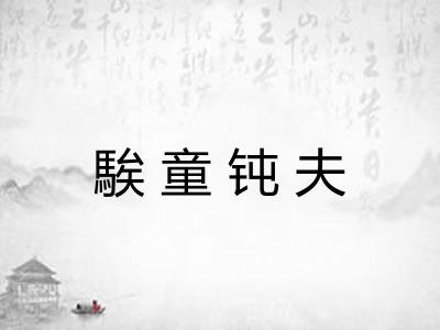 騃童钝夫