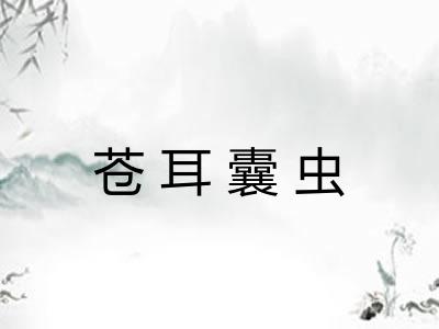 苍耳囊虫
