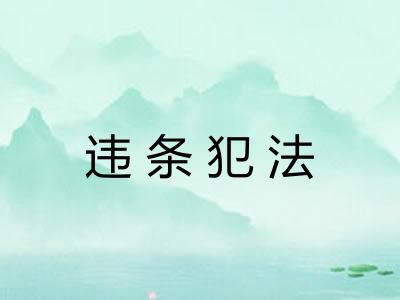 违条犯法
