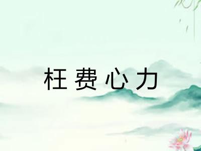 枉费心力