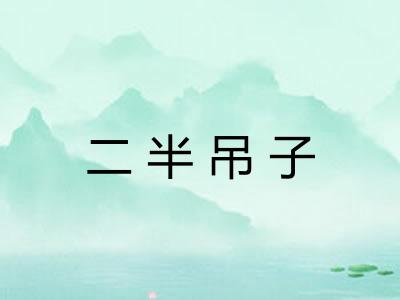 二半吊子