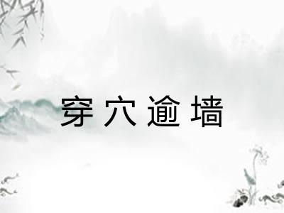 穿穴逾墙