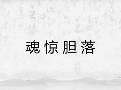 魂惊胆落