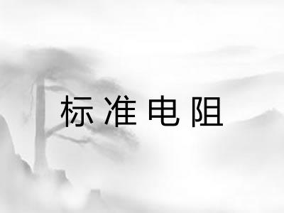 标准电阻