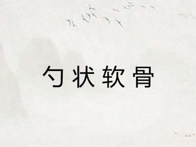 勺状软骨